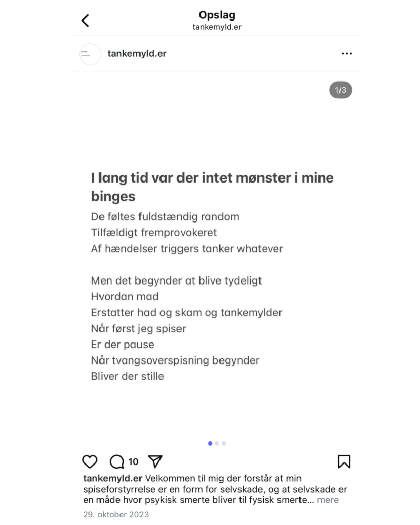 Amanda Husums instagram profil