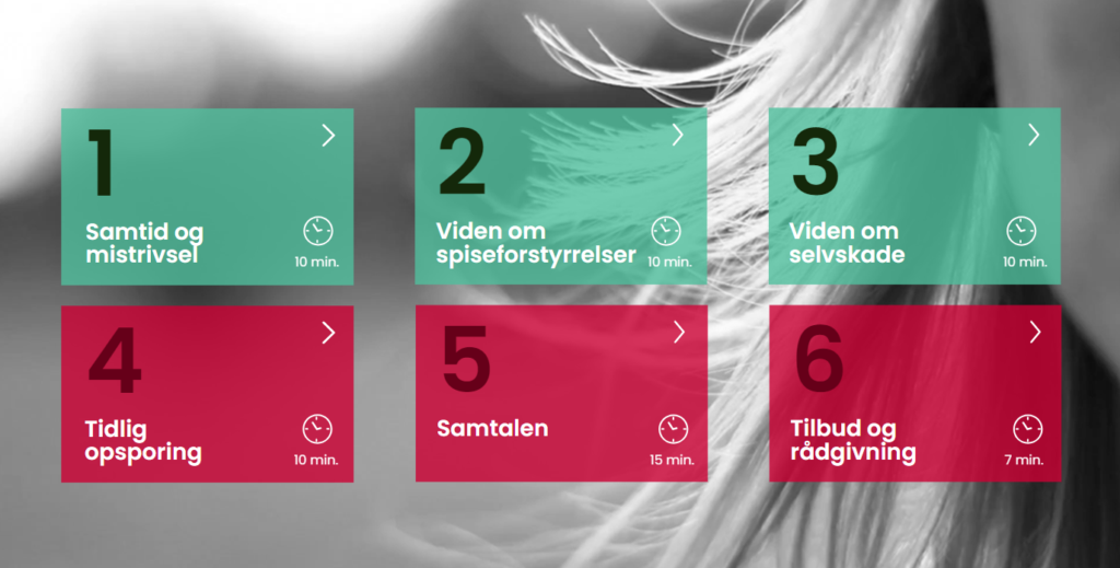 Screenshot fra e-læring om tidlig opsporing af spiseforstyrrelser og selvskade